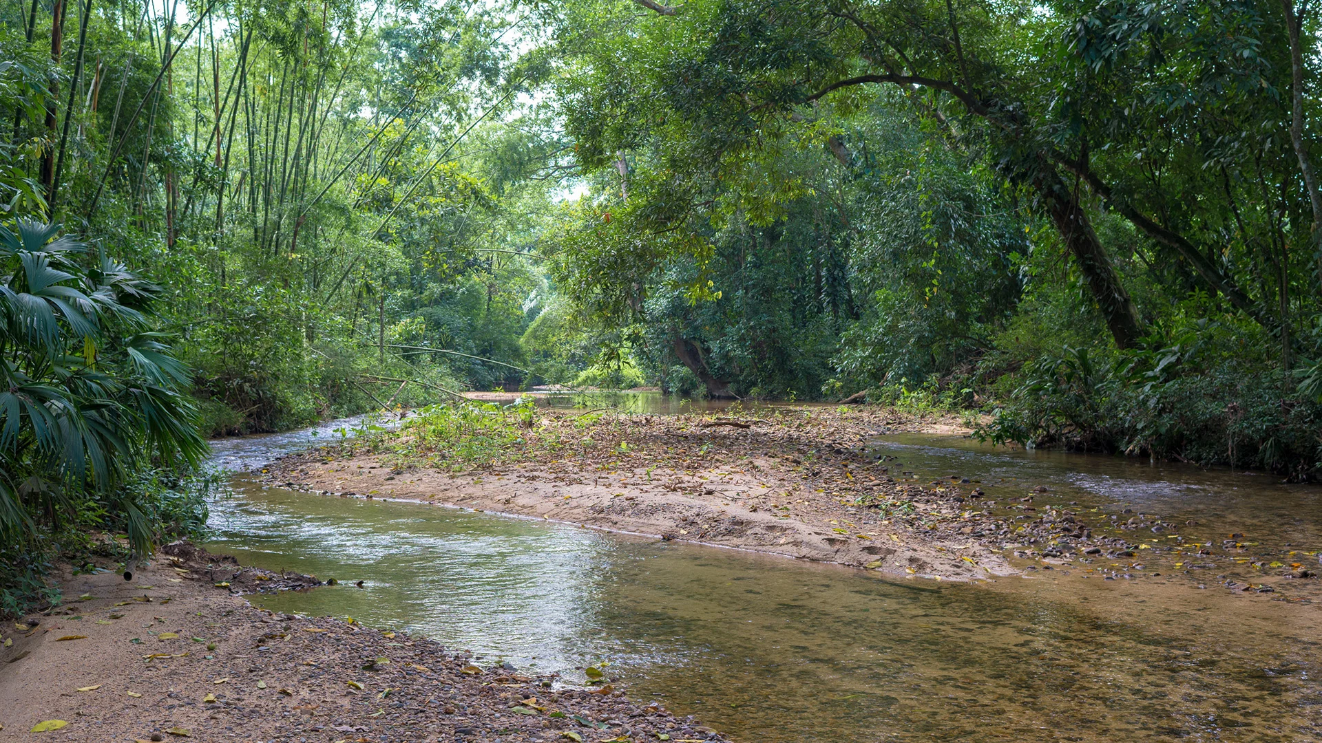 El Instituto presente en el bosque seco 5